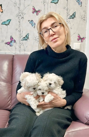 Bichon Maltese Mini toy - imagine 3