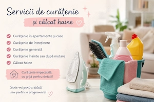 Ofer servicii de curățenie în Timișoara