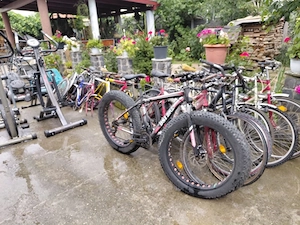 Biciclete angro 