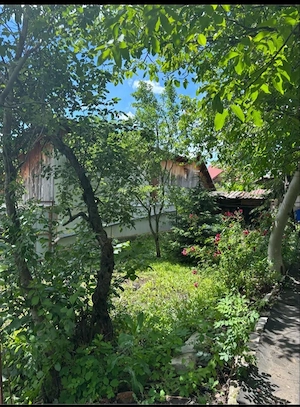 Casa de vanzare Campina Zona B preț 55000 euro negociabil - imagine 3