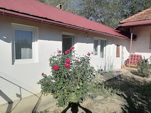 Vând casa locuibila în comuna Bumbești Pitic, Cirligei - imagine 2