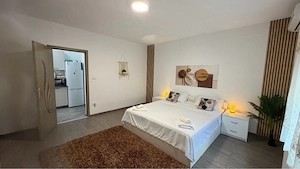 Inchiriez Regim Hotelier Buzias 150 Ron  Noapte - imagine 2