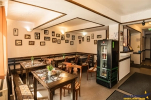 Pensiunea Casa Maria Busteni,afacere HoReCa,restaurant clasificat,spectacol montan - imagine 3