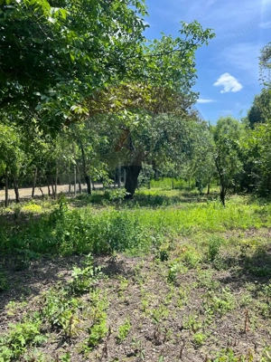 Casă de vânzare – Puchenii Mari, la 15 km de Ploiești - imagine 11