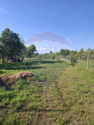 Casă / Vilă cu 4 camere de vânzare - imagine 5
