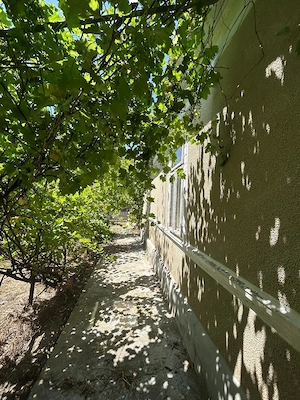 casa batraneasca cu teren 1400 mp in satul Baraganul , judetul Braila - imagine 3