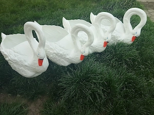 ghiveci flori plastic lebăda 