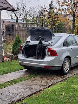 volvo s40 2009, disel 1,6 - imagine 6