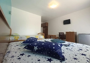 Cazare Eforie Nord 3 stele 8 minute de plaja Aer conditionat baie proprie frigider bucatarie parcare - imagine 2