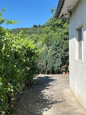  Casă pe strada principală cu 6 camere și 1000 mp teren în Țuglui, Dolj   Preț de garsonieră în Crai - imagine 4