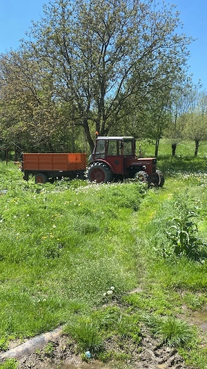 Tractor universal 445 dtc de vanzare
