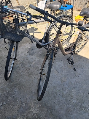 Bicicletă de damă și bicicletă bărbat 