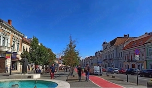 Vand Apartament cu o camera in Centru Bulevardul Eroilor - imagine 2