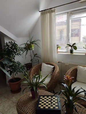 Vand casa zona Coiciu - imagine 8