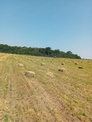 Baloți de vânzare 