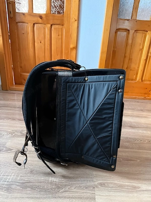 Acordeon  Parrot cu 120 de basi