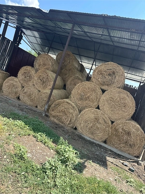 vand baloti lucerna si paie