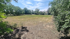 Casă spațioasă cu teren generos în Rudna, jud. Timiș   75.000   negociabil   Schimb cu apartament  - imagine 5