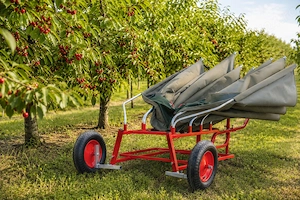 Utilaj recoltat prune ,visine ,cirese ,alune ,nuci, migdale - imagine 8