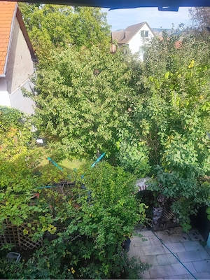2 casi de vinzare in Sebes (Mulbach) - imagine 5