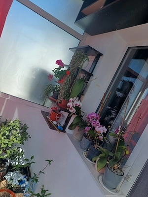 Vând apartament cu 3 camere zona ostroveni  - imagine 7