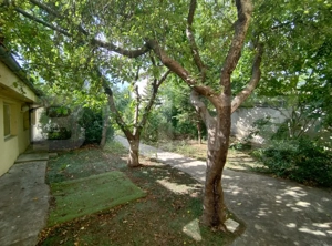 Casa P+M, 460 mp utili, 615 mp teren, 20 m deschidere, zona 1 Mai - imagine 3