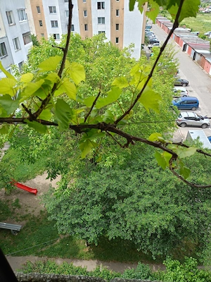 Vând apartament cu 3 camere - imagine 8
