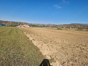 Teren Dumbrăvița 10500 mp. - imagine 5