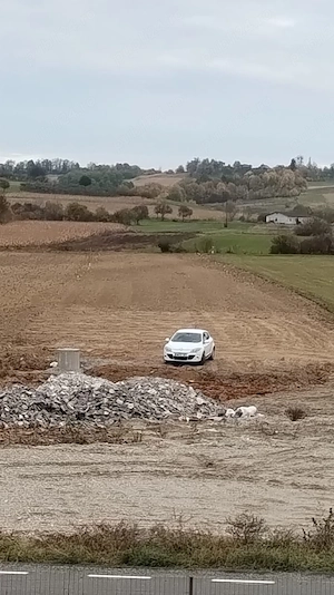 Teren Dumbrăvița 10500 mp. - imagine 4
