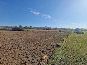 Teren Dumbrăvița 10500 mp. - imagine 3