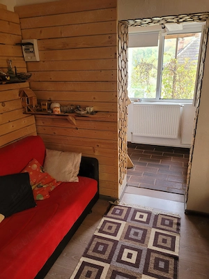 Casa de vanzare Pietrarii de Sus jud Valcea - imagine 7
