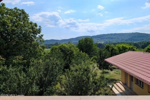 Arges | Valea Mare-Bratia | Vila 276 mp Lot 2063 mp | Zona Pitoreasca! - imagine 2