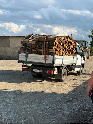 lemne de foc:stejar, fag, carpen si laturoaie