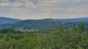 Teren intravilan cu livada - 9.000 mp, sat Ogretin, comuna Drajna