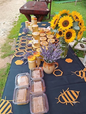 Angajez Vanzatoare pentru Stand cu Miere - imagine 2