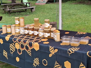 Angajez Vanzatoare pentru Stand cu Miere