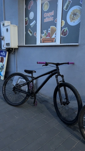 Rickrider st 120 custom 