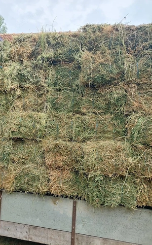 Baloți de lucernă 