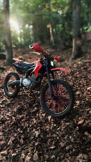 vând moto cross- enduro tmmp  - imagine 4