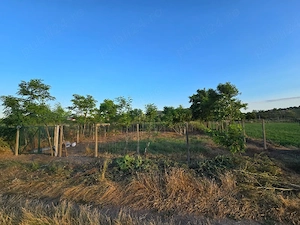 400mp teren extravilan in sat Victoria ( Nufaru) Tulcea - imagine 2
