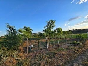 400mp teren extravilan in sat Victoria ( Nufaru) Tulcea - imagine 3