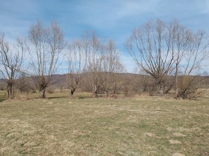 Teren de inchiriat Sinca Noua-Via Transilvanica - imagine 2