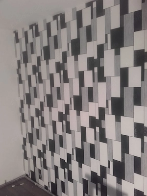 Renovare, amenajare, fatade case, apartamente, echipa, meserias