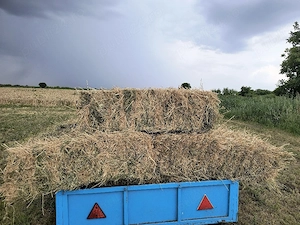 vind baloți lucernă 