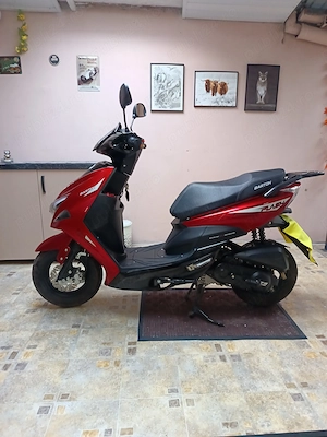 Scoter Barton 49  2024 - imagine 5