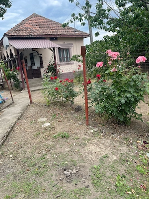 Vand casa locuibila