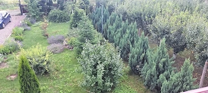 Vând casă, sat Ogrăzile, com. Merei, jud. Buzau - imagine 3
