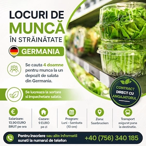 Locuri de Munca in Depozit (Germania)