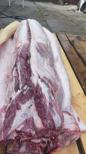 Porc de carne de vânzare  - imagine 2