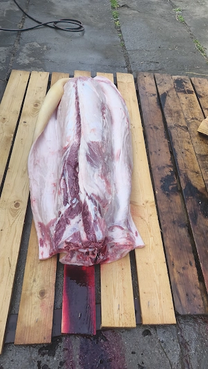 Porc de carne de vânzare  - imagine 3